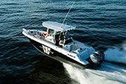 bateau Wellcraft